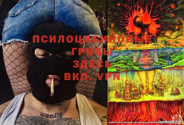 шишки Богородск