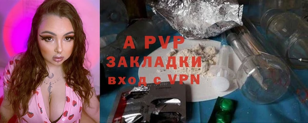 прущие крисы Богданович
