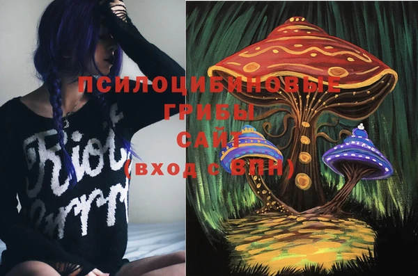 шишки Богородск