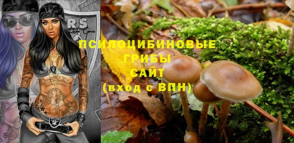 ALPHA-PVP Богородицк