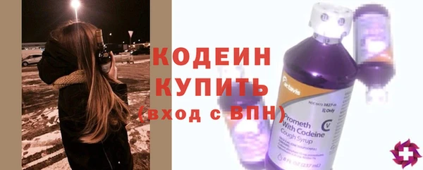 шишки Богородск