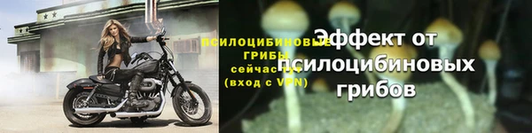 прущие крисы Богданович