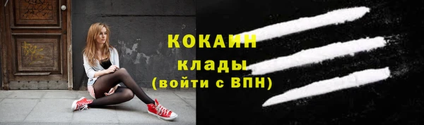 прущие крисы Богданович