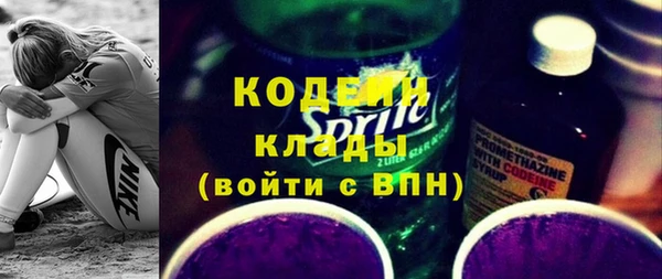 шишки Богородск