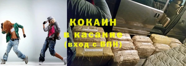 шишки Богородск