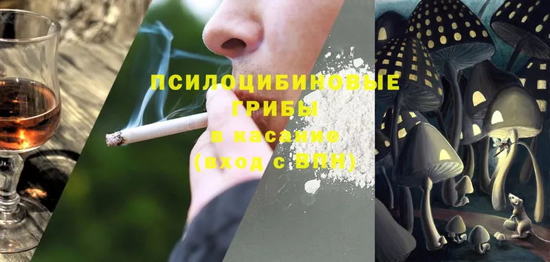 Галлюциногенные грибы Magic Shrooms Волосово