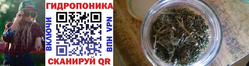 Канабис Bruce Banner  МЕГА маркетплейс  Волосово 